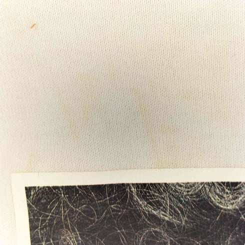 オニツカタイガー ONITSUKA TIGER バックプリントロングスリーブTシャツ メンズ JPN:L