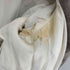 ブルックスブラザーズ BROOKS BROTHERS ウールシルク ヘリンボーン カバーオール レディース 8