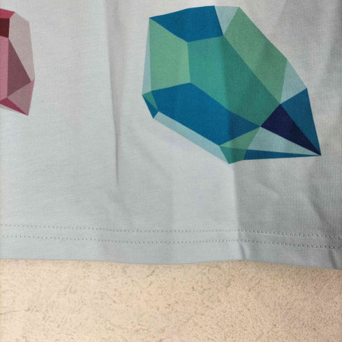 FJORD 両面プリント S/S Tシャツ メンズ XL