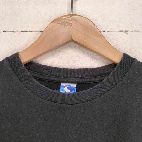 タウンアンドカントリー TOWN & COUNTRY ラメプリント S/S チビTシャツ Y2K レディース L