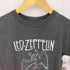 LED ZEPPELIN クルーネック バンドTシャツ Y2K レディース
