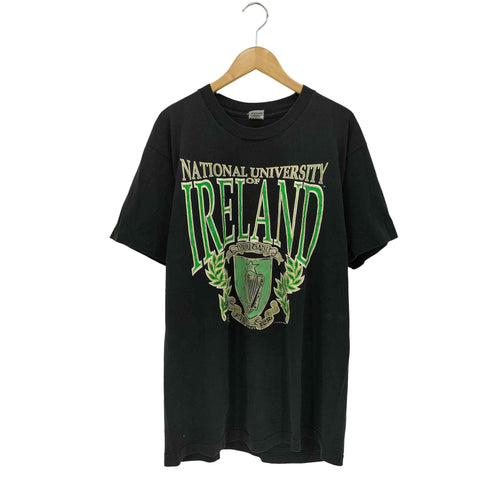 フルーツオブザルーム FRUIT OF THE LOOM 90s USA製 シングルステッチ IRELAND プリント クルーネックTシャツ メンズ import:XL