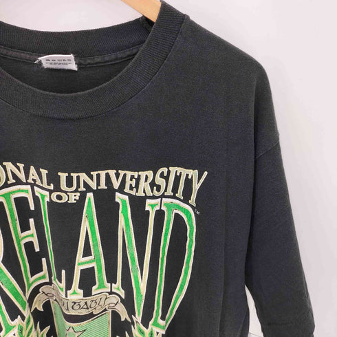 フルーツオブザルーム FRUIT OF THE LOOM 90s USA製 シングルステッチ IRELAND プリント クルーネックTシャツ メンズ import:XL