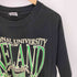 フルーツオブザルーム FRUIT OF THE LOOM 90s USA製 シングルステッチ IRELAND プリント クルーネックTシャツ メンズ import:XL
