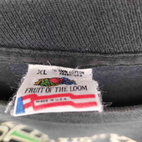 フルーツオブザルーム FRUIT OF THE LOOM 90s USA製 シングルステッチ IRELAND プリント クルーネックTシャツ メンズ import:XL