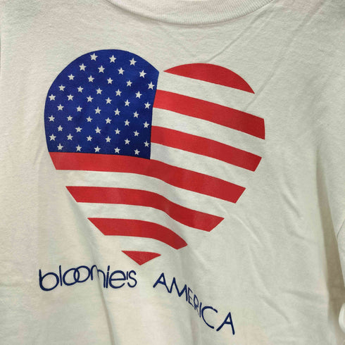 フルーツオブザルーム FRUIT OF THE LOOM 90S USA製 星条旗 ハート blomies AMERICA プリント S/S Tシャツ シングルステッチ ビックサイズ メンズ import:XL