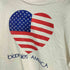 フルーツオブザルーム FRUIT OF THE LOOM 90S USA製 星条旗 ハート blomies AMERICA プリント S/S Tシャツ シングルステッチ ビックサイズ メンズ import:XL
