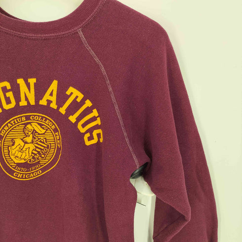 チャンピオン Champion 70-80S USA製 バータグ カレッジロゴ プルオーバー スウェット ラグラン メンズ import:M