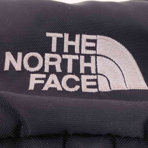 ザノースフェイス THE NORTH FACE GEMINI 22L ジェミニ リュックサック メンズ 22L