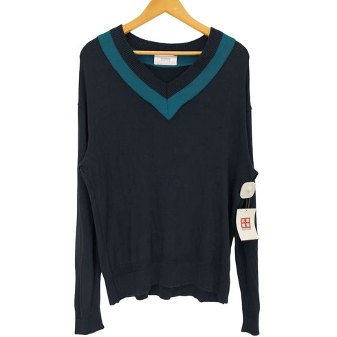 ステュディオス STUDIOUS シルクブレンドVネックチルデンニット メンズ JPN:2