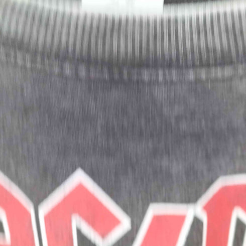 両面バンドプリント ラグランスウェット メンズ JPN:S