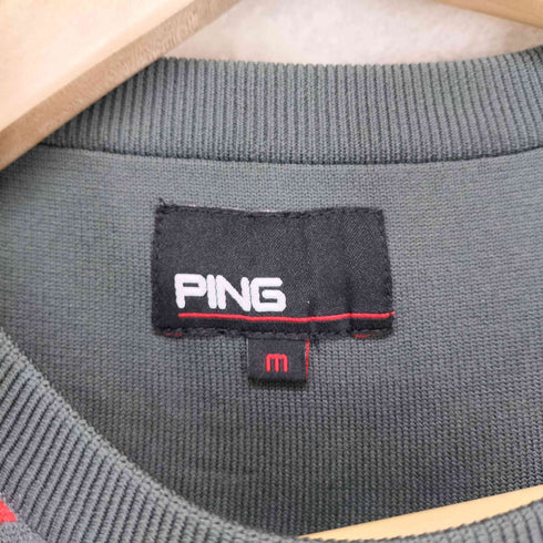 ピン ping ネイティブ柄 クルーネックニット プルオーバー レディース JPN:M