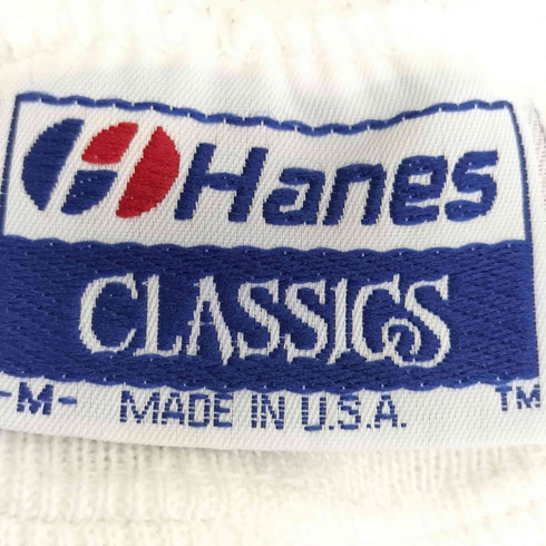 ヘインズ Hanes 90s USA製 モーガンホースプリント 前Vガゼット スウェット メンズ import:M
