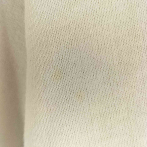 チャンピオン Champion 90S USA製 カレッジプリント Vネックスウェット メンズ import:XL