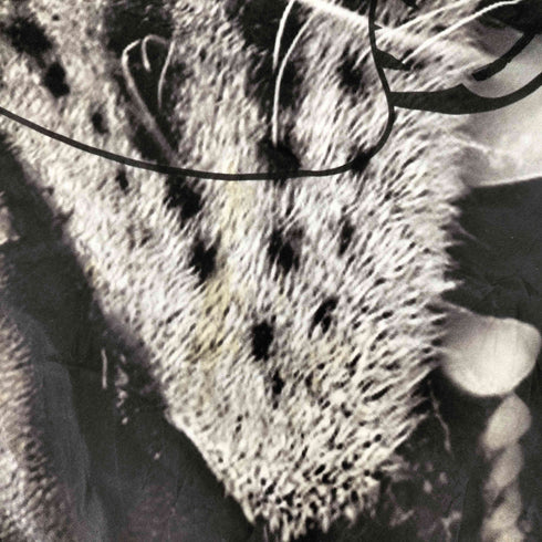 アバハウス ABAHOUSE 総柄シルクスカーフ レディース