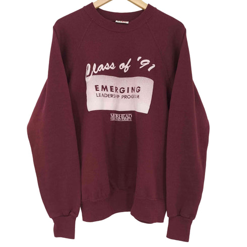 バセットウォーカー BASSETT WALKER 90s USA製 裏起毛 クルーネック L/S ラグラン プリントスウェット メンズ import:L