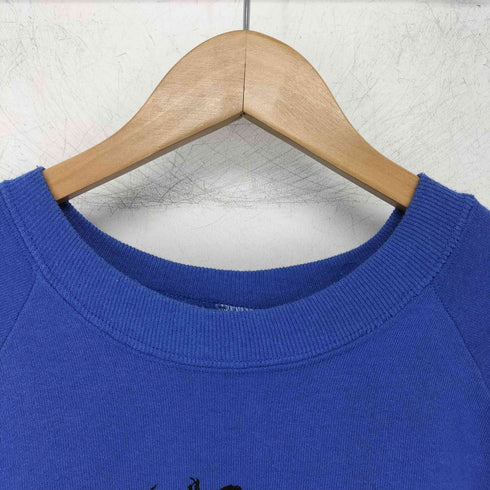 フルーツオブザルーム FRUIT OF THE LOOM 90s USA製 ラグラン L/S プリントスウェット メンズ import:L