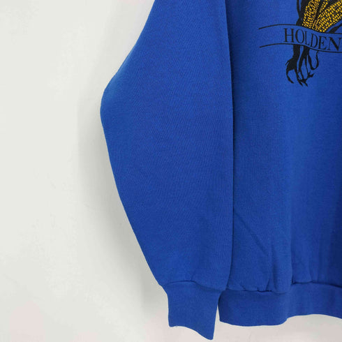 フルーツオブザルーム FRUIT OF THE LOOM 90s USA製 ラグラン L/S プリントスウェット メンズ import:L