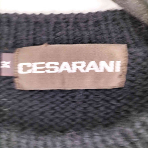 セサラーニ CESARANI 総柄ウールニット メンズ JPN:M