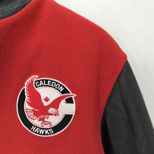 IRONHEAD made in canada HAWKS刺繍 袖カウレザースタジャン レディース L