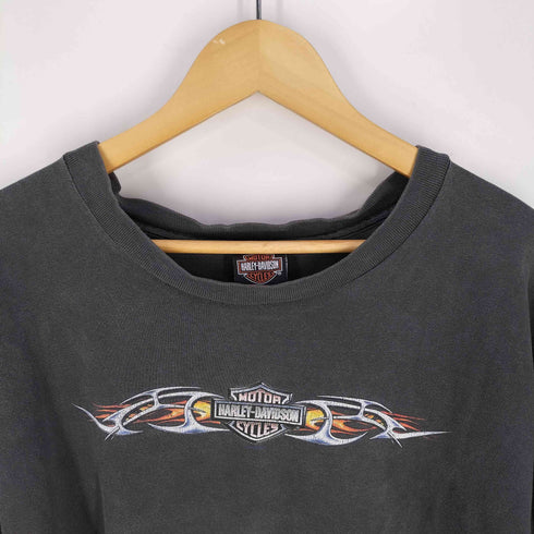 ハーレーダビッドソン HARLEY-DAVIDSON 00S 2002コピーライト アームプリント L/S Tシャツ メンズ import:XL