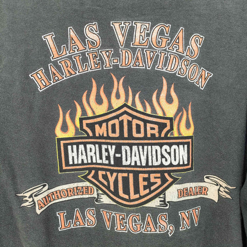 ハーレーダビッドソン HARLEY-DAVIDSON 00S 2002コピーライト アームプリント L/S Tシャツ メンズ import:XL