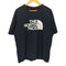 ザノースフェイス THE NORTH FACE 23SS S/S COLOR DOME TEE ロゴ プリント Tシャツ メンズ import:XXL