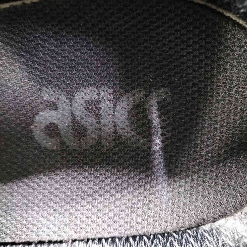 アシックス ASICS GEL-PTG GTX メンズ JPN:29