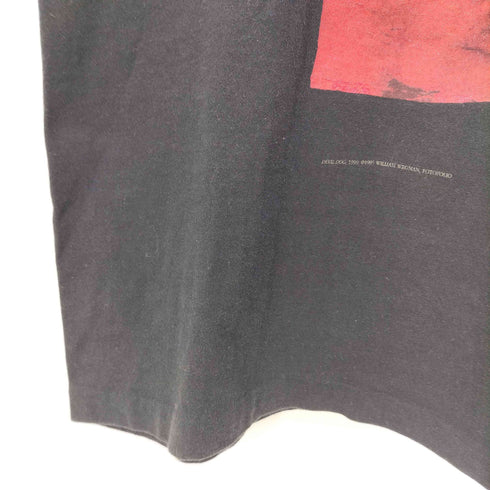 フルーツオブザルーム FRUIT OF THE LOOM 90s USA製 DEVIL DOG 1995 アニマルプリント Tシャツ 袖&裾 シングルステッチ メンズ import:L