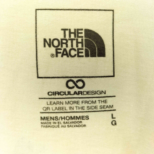 ザノースフェイス THE NORTH FACE MEN'S S/S PLACES WE LOVE TEE GRAVEL メンズ import:L