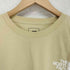 ザノースフェイス THE NORTH FACE MEN'S S/S PLACES WE LOVE TEE GRAVEL メンズ import:XL