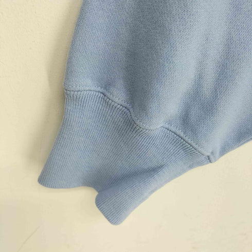 チャンピオン Champion ARENE REVERSE WEAVE PO HOOD WASHERD STALET BLUE メンズ import:M