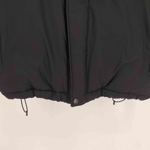 ザノースフェイス THE NORTH FACE HIMALAYAN PARKA ヒマラヤン パーカー SUMMIT サミット シリーズ GORE-TEX ダウン ジャケット メンズ import:L