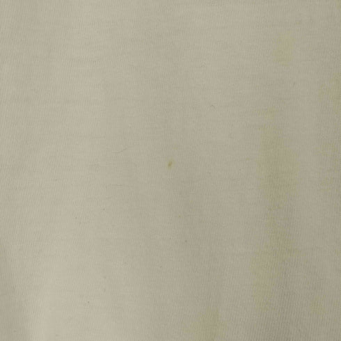 ヘインズ Hanes 90S USA製 THE ONLY THINK TANK WITH A HIGH-DIVE 両面プリント Tシャツ メンズ import:L