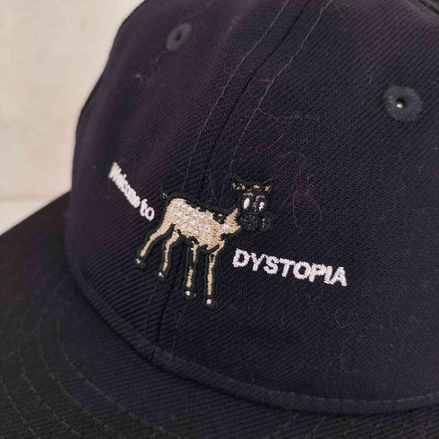 ニューエラ NEW ERA 6 パネルキャップ メンズ