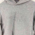 ザノースフェイス THE NORTH FACE Tech Air Sweat Hoodie テックエアースウェットフーディー レディース import:L