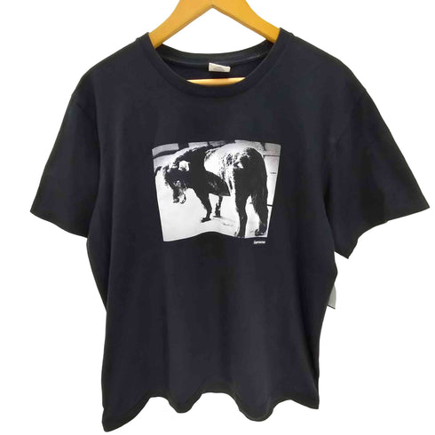シュプリーム Supreme 22SS 写真家 コラボ DOG TEE ドッグ プリント Tシャツ メンズ import:M