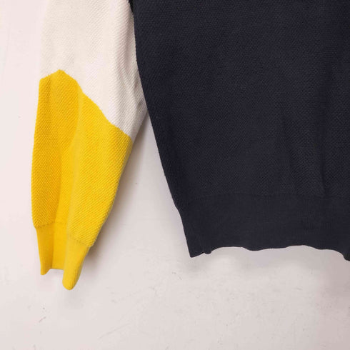 ラコステ LACOSTE カラーブロックコットンセーター メンズ import:L FR5