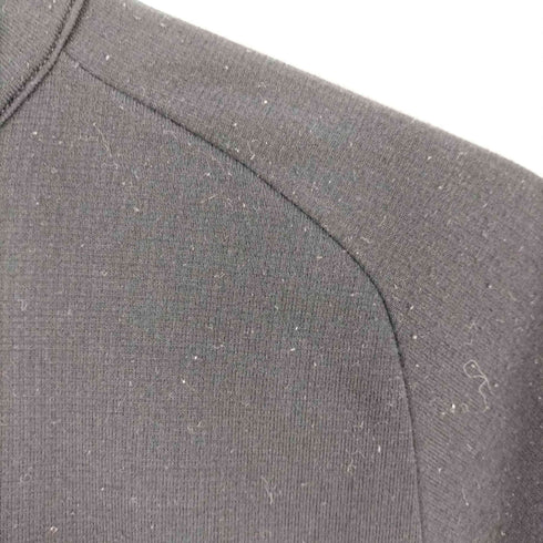 ザノースフェイス THE NORTH FACE L/S DACRON DQ GRID ZIPUP メンズ import:L