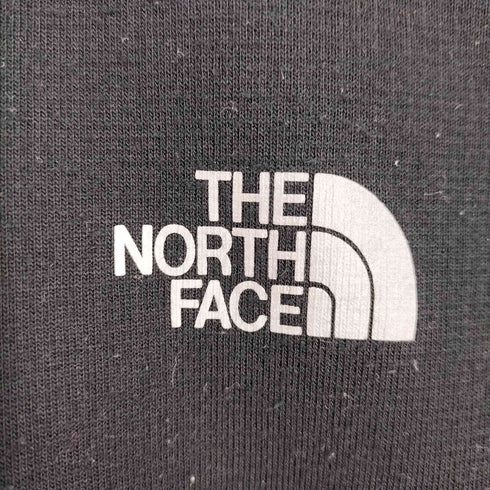 ザノースフェイス THE NORTH FACE L/S DACRON DQ GRID ZIPUP メンズ import:L