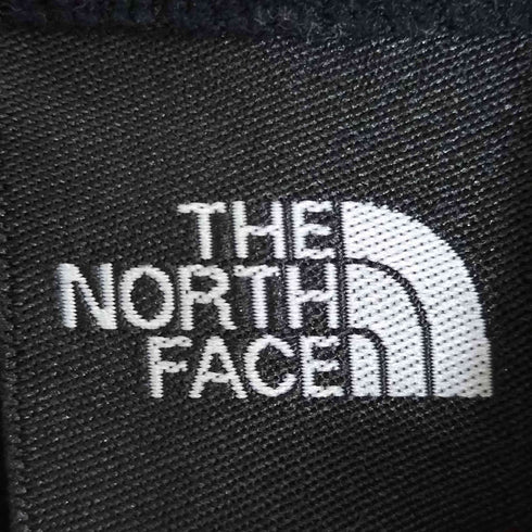 ザノースフェイス THE NORTH FACE L/S DACRON DQ GRID ZIPUP メンズ import:L