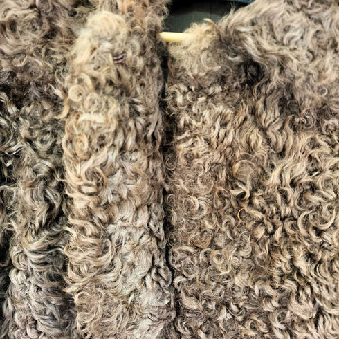 リアルムートンファー プードルコート レディース 11
