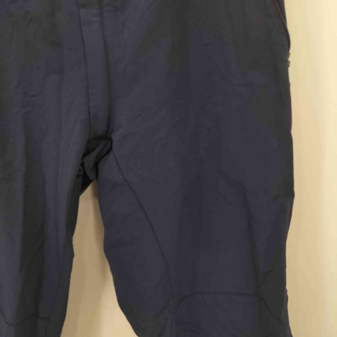 ザノースフェイス THE NORTH FACE SUMMIT SERIES APEX PANT サミットシリーズ アペックスパンツ メンズ JPN:M