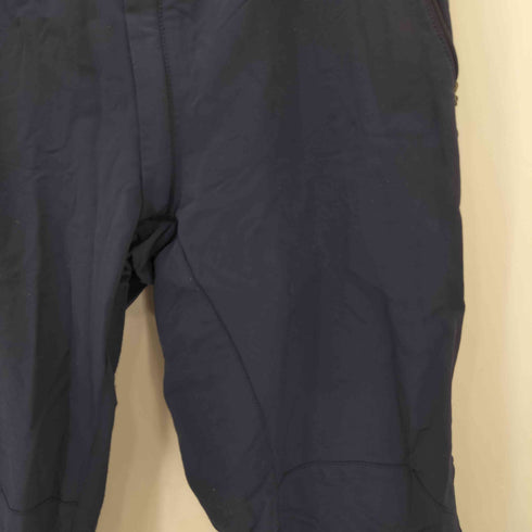 ザノースフェイス THE NORTH FACE SUMMIT SERIES APEX PANT サミットシリーズ アペックスパンツ メンズ JPN:M