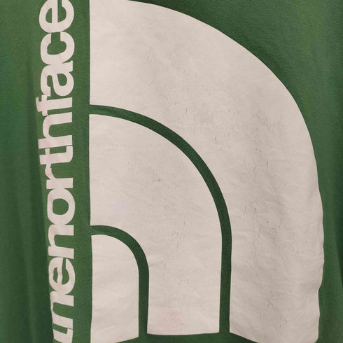 ザノースフェイス THE NORTH FACE jumbo half dome tee メンズ import:XXL