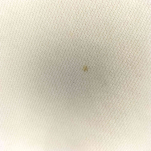 チャンピオン Champion バータグ復刻 目あり フロントプリント クルーネック スウェットシャツ メンズ import:L