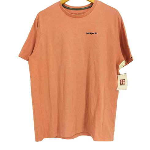 パタゴニア patagonia Responsibili-Tee メンズ import:L