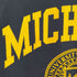 ラッセルアスレチック RUSSELL ATHLETIC 90S USA製 MICHIGAN ラバープリント クルーネックTシャツ メンズ import:S