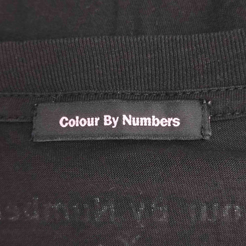 COLOUR BY NUMBERS グラフィック フォト Tシャツ メンズ