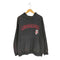 champs sports Bucky Badger カレッジプリントプルオーバー メンズ 3XL